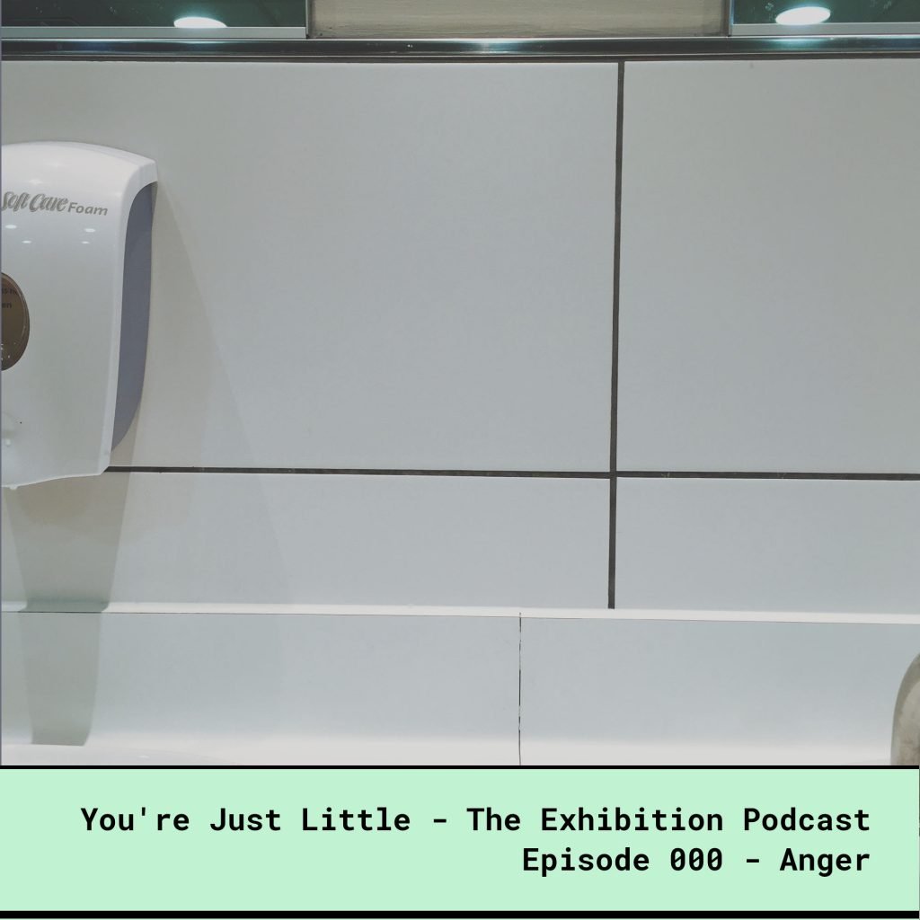 The You're Just Little Exhibition Podcast - Episode 000 - Anger. Photo shows an sink area in the toilets, and the mirror above head level, excluding me from checking my appearance, because of my dwarfism.